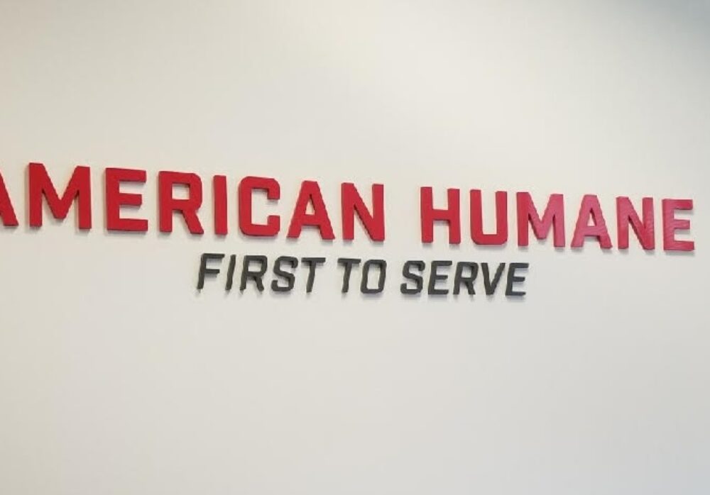 Sign Package for American Humane in Studio City