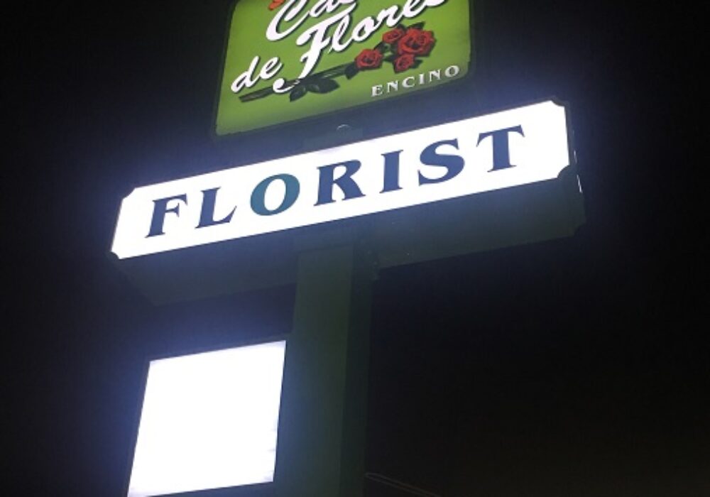 Night View of Casa de Flores Illuminated Sign in Encino