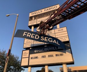 Read more about the article Oversized Pylon Insert for Fred Segal in Malibu