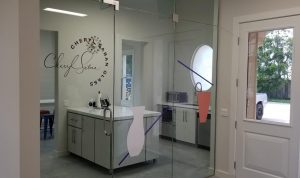 Read more about the article Even MORE Interior Window Graphics for Cheryl Saban