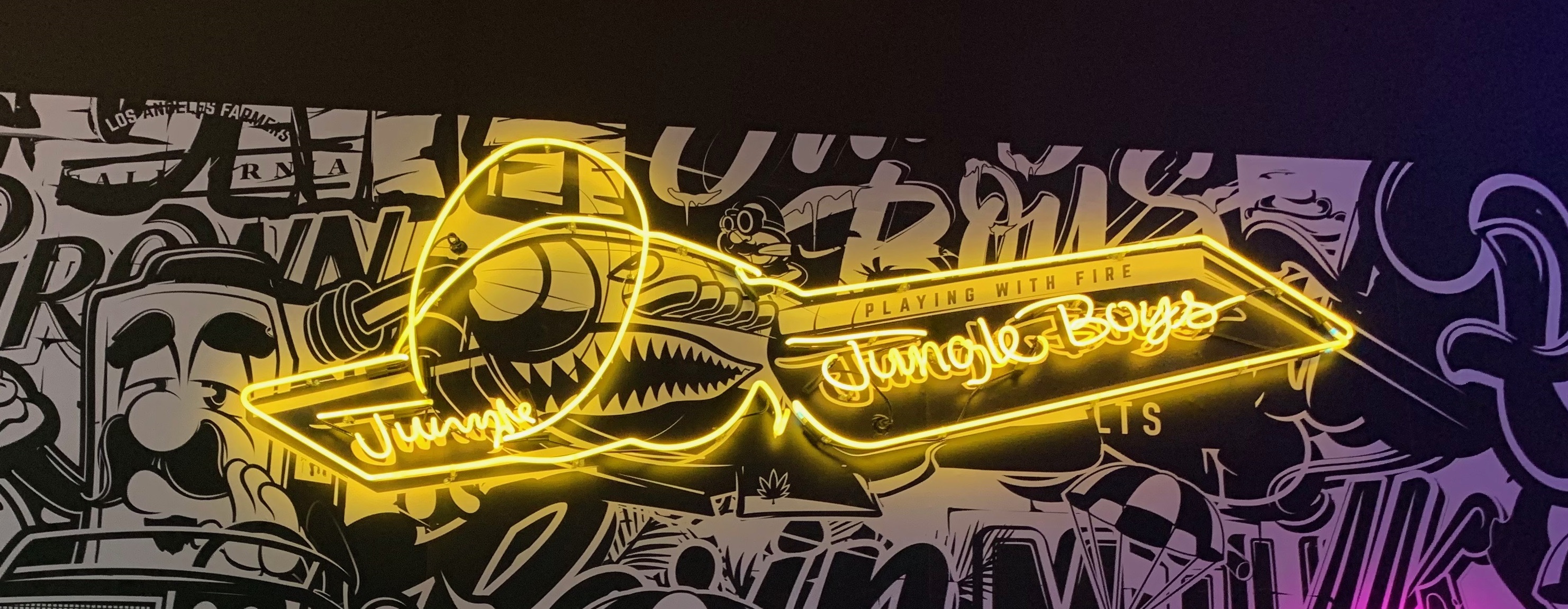 You are currently viewing Airplane Neon Sign for Jungle Boys in Los Angeles