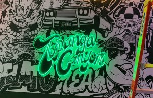 Read more about the article Topanga Canyon Neon Sign for Jungle Boys in Los Angeles