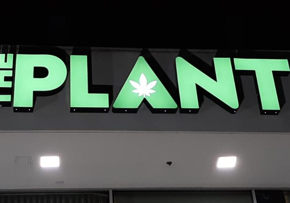 Storefront Channel Letters for The Plant in Woodland Hills