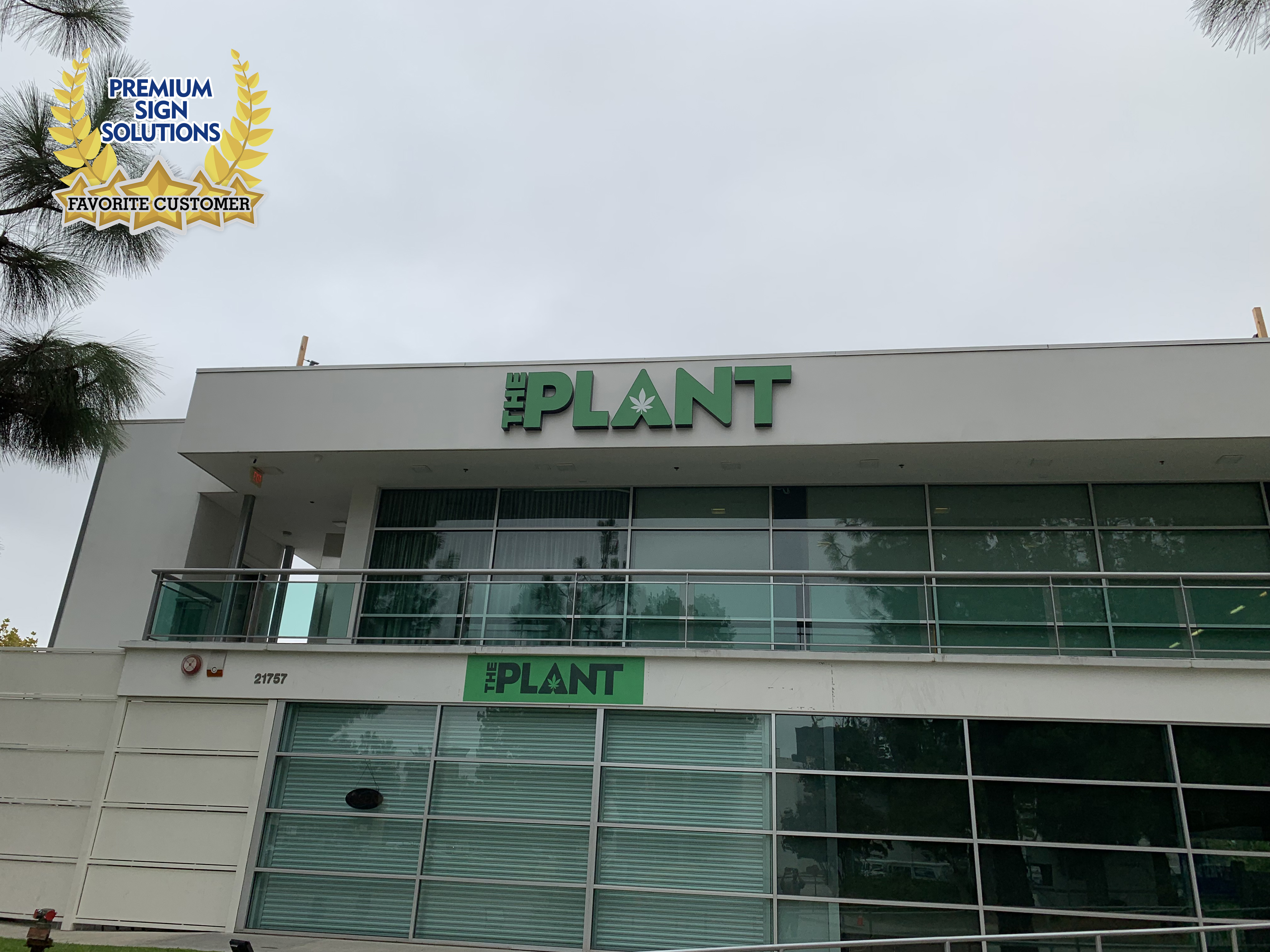 You are currently viewing Honoring Our Favorite Customers: The Plant in Woodland Hills