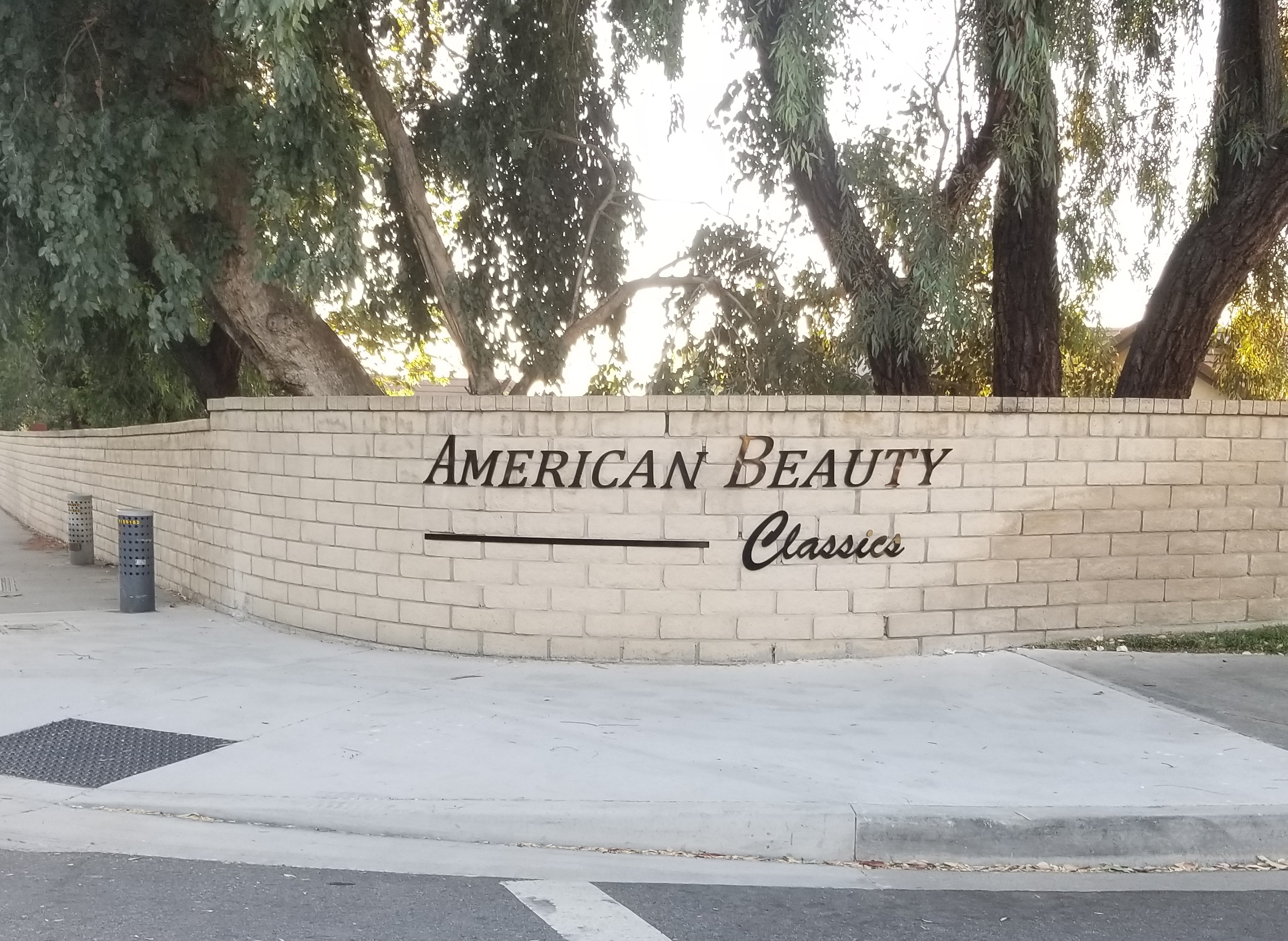 These are the extra streetside dimensional letters we made for American Beauty Classics in Canyon Country.