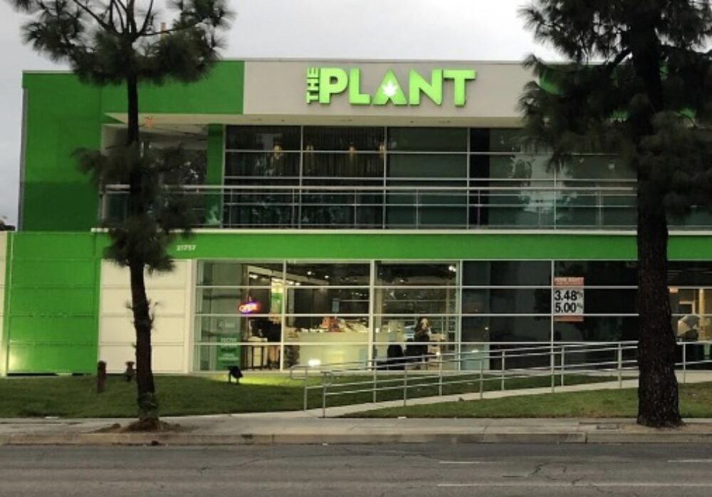 Building Channel Letters for The Plant in Woodland Hills