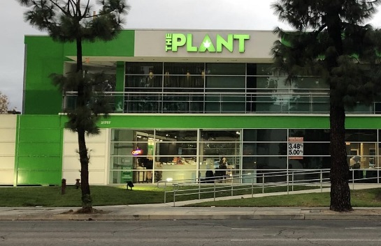 Read more about the article Building Channel Letters for The Plant in Woodland Hills