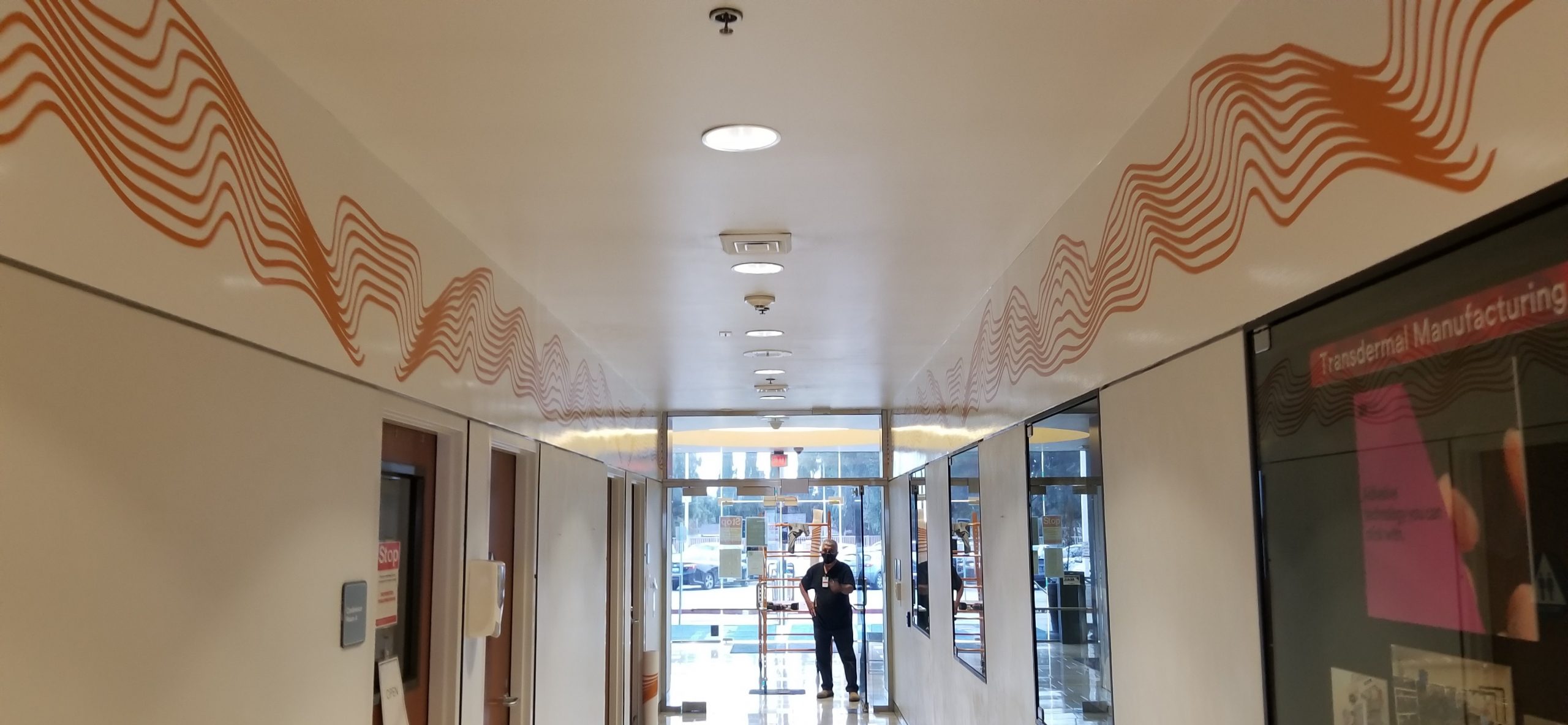 Want really impressive signage? Giant wall graphics are the way to go. These add so much to the interior environment of Kindeva's office in Northridge.