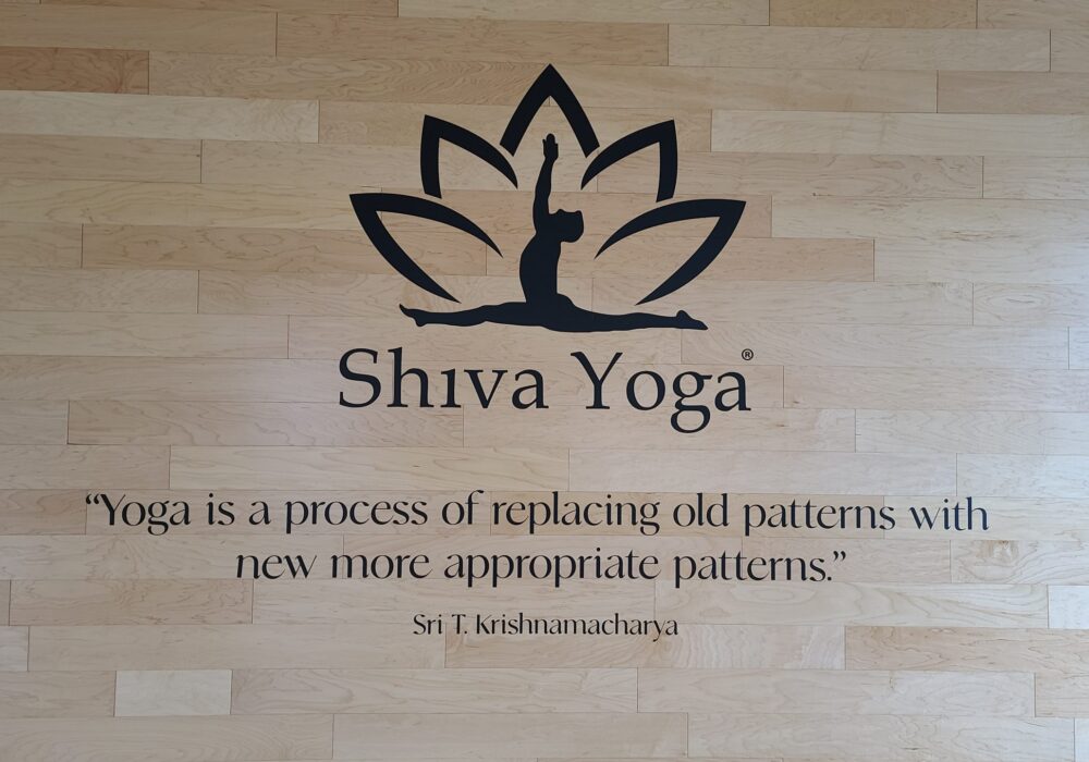 Studio Wall Graphics for  Shiva Yoga in West Hollywood