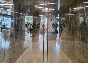 Read more about the article Glass Door Graphics for Princess Polly in West Hollywood