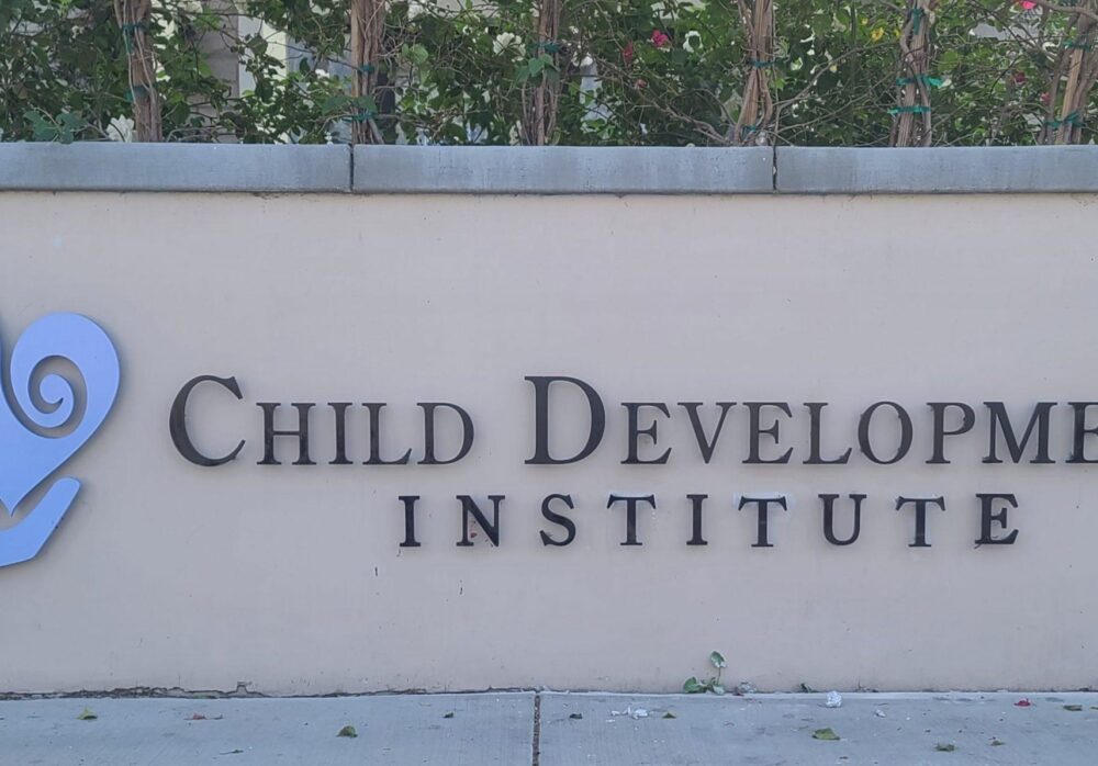 Sign Letter Replacement for Child Development Institute in Reseda