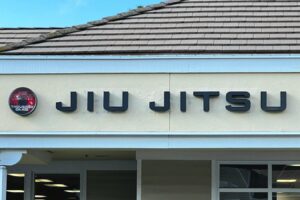 Read more about the article 10th Planet Jiu Jitsu Channel Letters Thousand Oaks