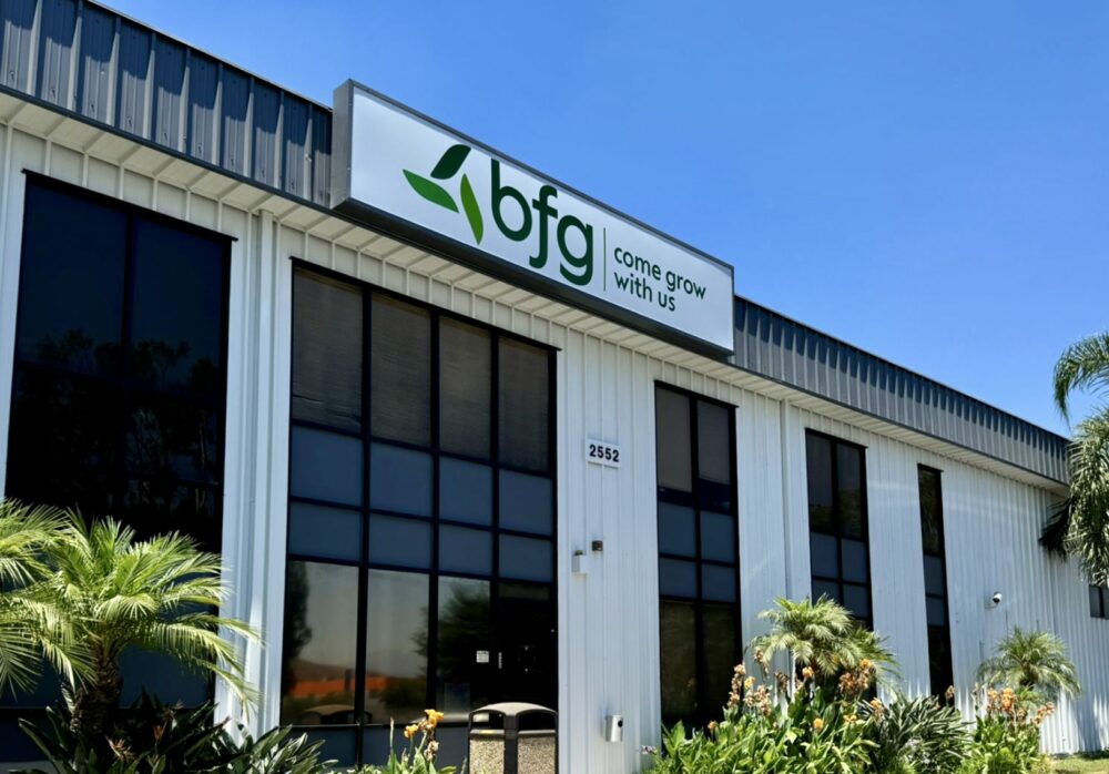 BFG Lightbox San Bernardino