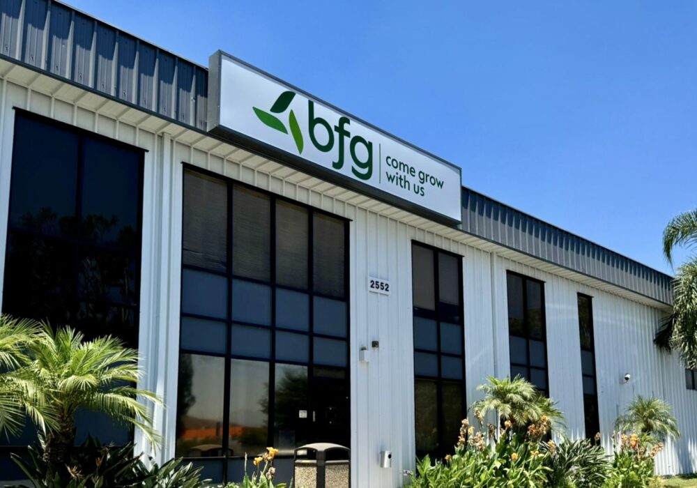 BFG Lightbox San Bernardino