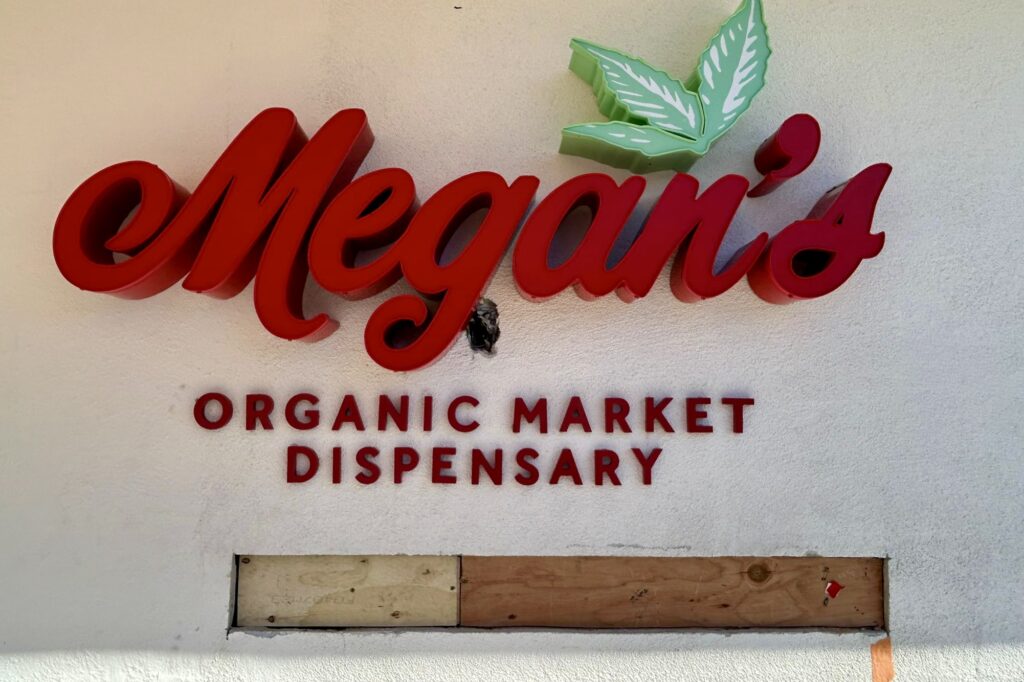 Close-up of front-lit channel letters for Megan Organic Market in vibrant red and green, featuring a carved leaf element.
