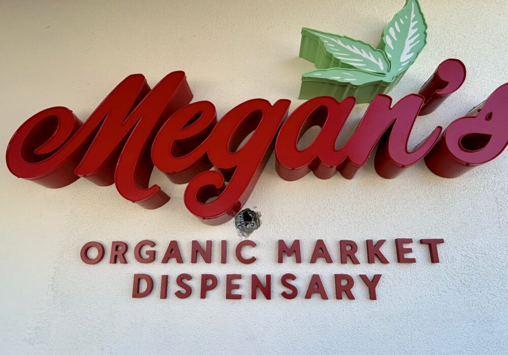 Megan Organic Market Goleta Channel Letters Custom Signs