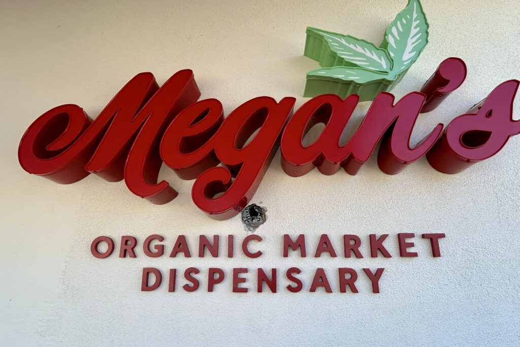 Close-up view of illuminated channel letters for Megan Organic Market in Goleta. The letters feature a vibrant red and custom green color scheme with a leaf element.
