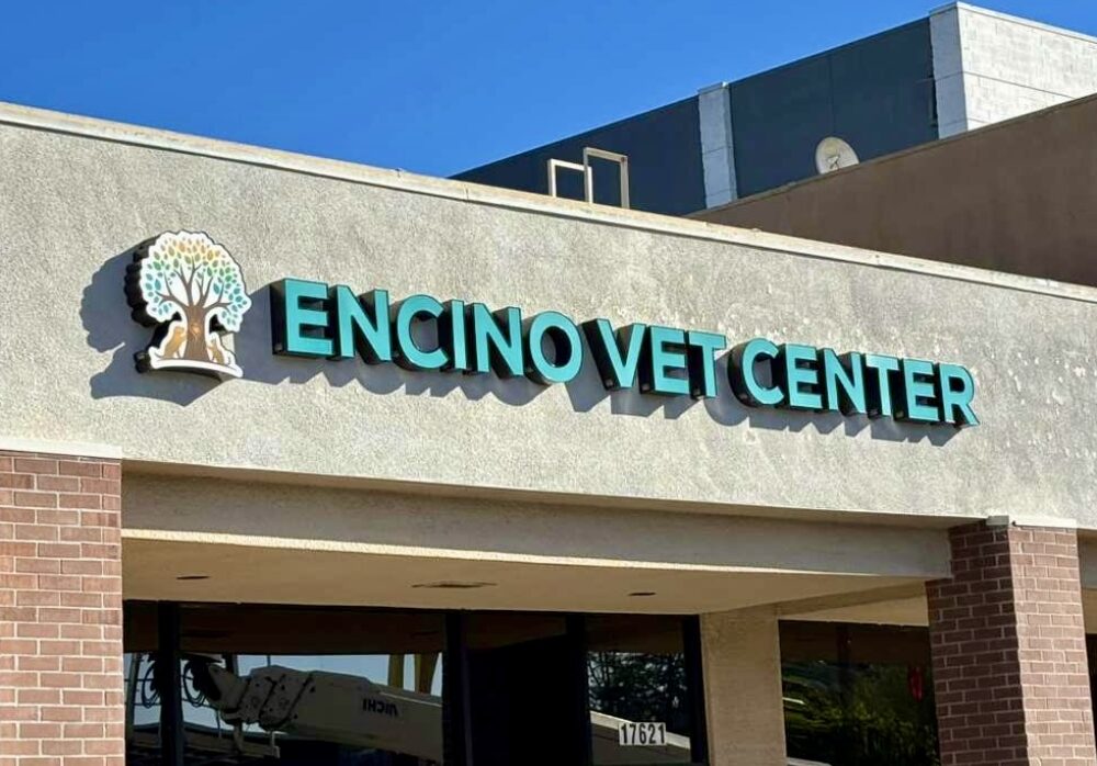 Veterinary Clinic Channel Letters Encino